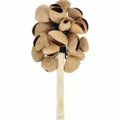 Terre Stickshaker Pangi Seeds