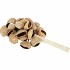 Terre Stickshaker Pangi Seeds
