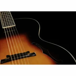The Loar LH-700 VS