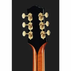The Loar LH-700 VS