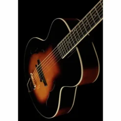 The Loar LH-700 VS