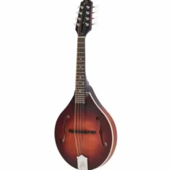 The Loar LM-110 Honey Creek BRB