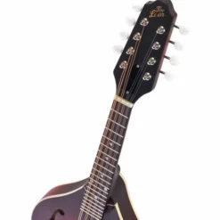 The Loar LM-110 Honey Creek BRB