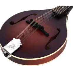 The Loar LM-110 Honey Creek BRB