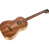 Thomann Artist Baritone Ukulele ACA