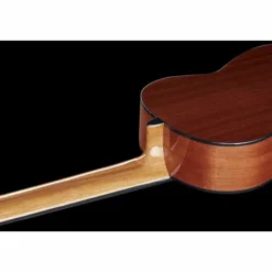 Thomann Classica Fusion 8 String