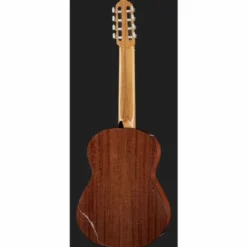 Thomann Classica Fusion 8 String
