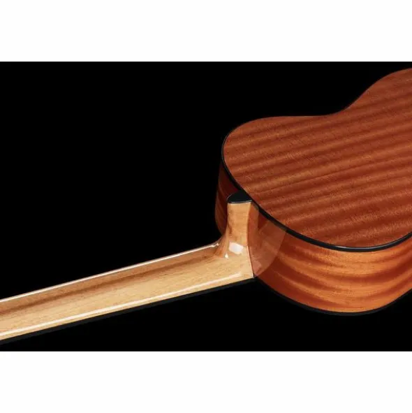 Thomann Classica Fusion 7 String
