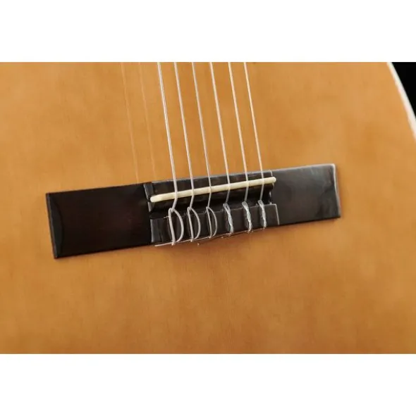 Thomann Classic 4/4 Guitar Bundle