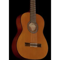 Thomann C-402 NT Set