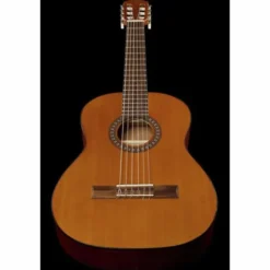 Thomann C-402 NT Set