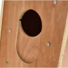 Thomann Racu Cajon