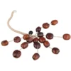 Thomann Seed Shaker Pala