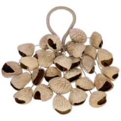 Thomann Seed Shaker Pangi