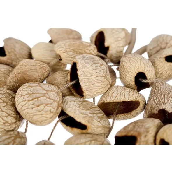 Thomann Seed Shaker Pangi