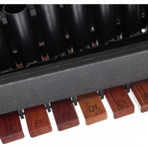 Thomann XS2HV35T Solist Xylophone A442