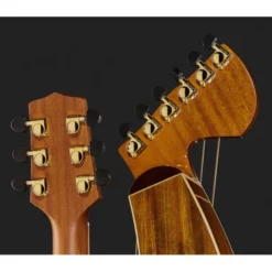 Timberline Guitars T60HGc-e Harp Guitar
