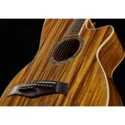 Timberline Guitars T60HGc-e Harp Guitar