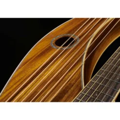 Timberline Guitars T60HGc-e Harp Guitar