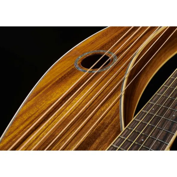 Timberline Guitars T60HGc-e Harp Guitar