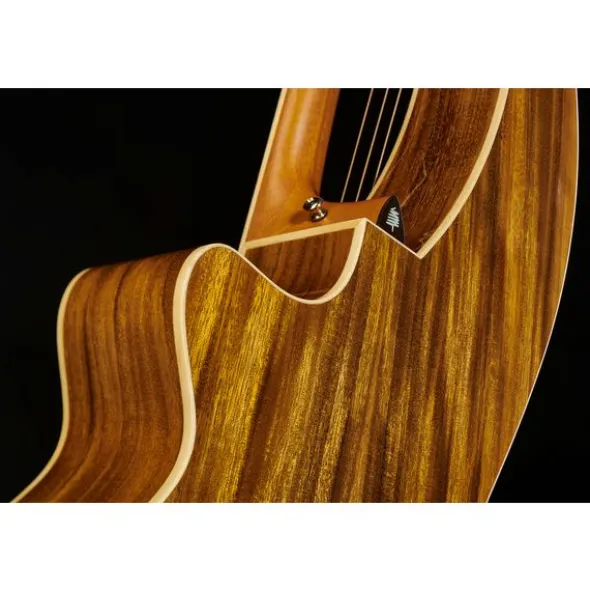 Timberline Guitars T60HGc-e Harp Guitar