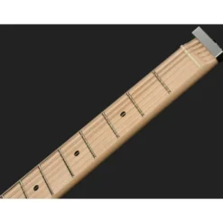 Traveler Guitar EG-3 Standard BB