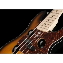 Traveler Guitar TB-4P Bass SBT