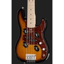 Traveler Guitar TB-4P Bass SBT