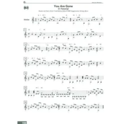 Voggenreiter Acoustic Guitar 1