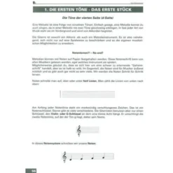 Voggenreiter Acoustic Guitar 1