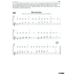 Voggenreiter Acoustic Guitar 1