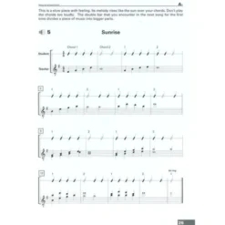 Voggenreiter Acoustic Guitar (English)