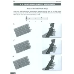 Voggenreiter Acoustic Guitar (English)