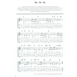 Voggenreiter Das Folkbuch