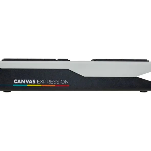 Walrus Audio Canvas Expression Pedal
