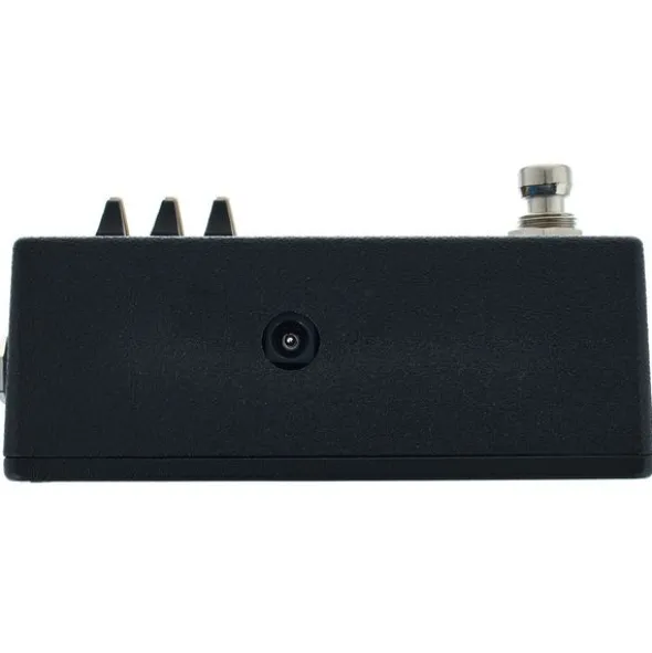 Walrus Audio Fundamental Ambient Reverb