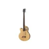 Warwick Alien Deluxe Hybrid 5B-Stock