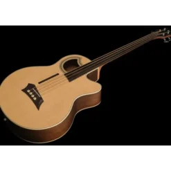 Warwick Alien Deluxe Hybrid 4 FL NT