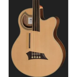 Warwick Alien Deluxe Hybrid 4 FL NT