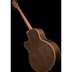 Warwick Alien Deluxe Hybrid 4 FL NT