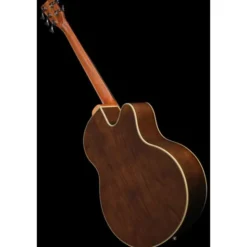 Warwick Alien Deluxe 5 NT FL LH