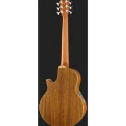 Warwick Alien 6 NT