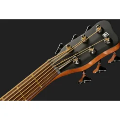Warwick Alien 6 NT