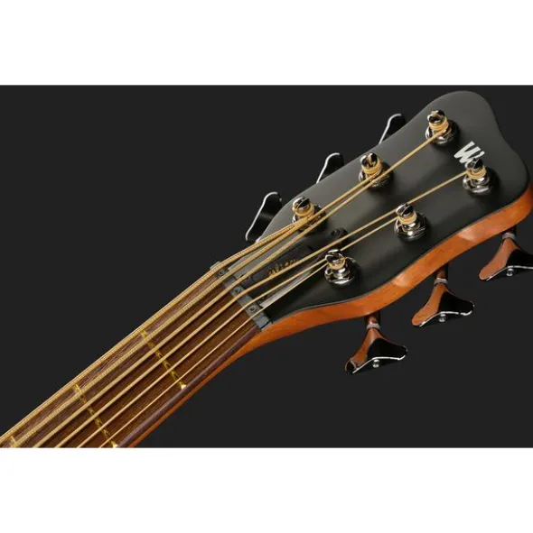 Warwick Alien 6 NT