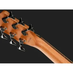 Warwick Alien 6 NT
