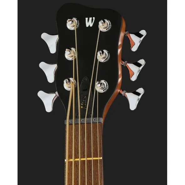 Warwick Alien 6 NT