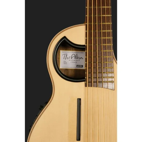 Warwick Alien 6 NT