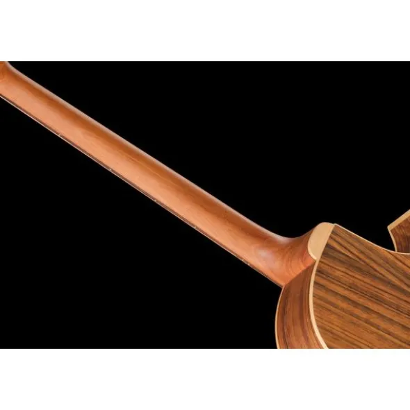 Warwick Alien 5 NT LH