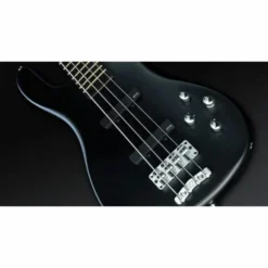 Warwick Artist Line Robert Trujillo 4