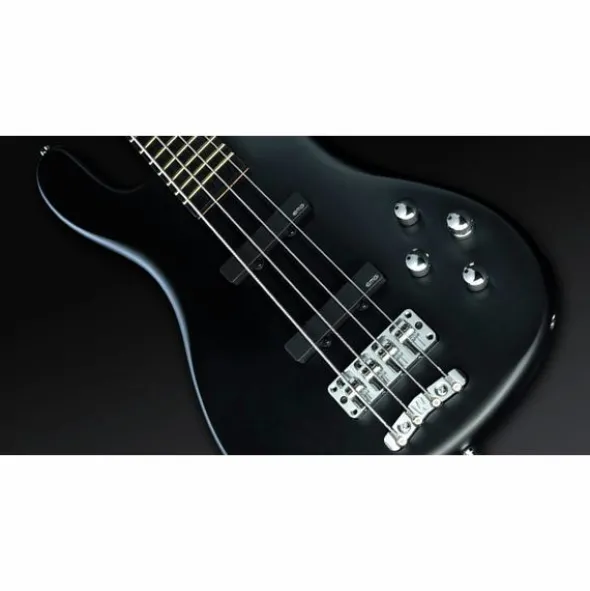 Warwick Artist Line Robert Trujillo 4